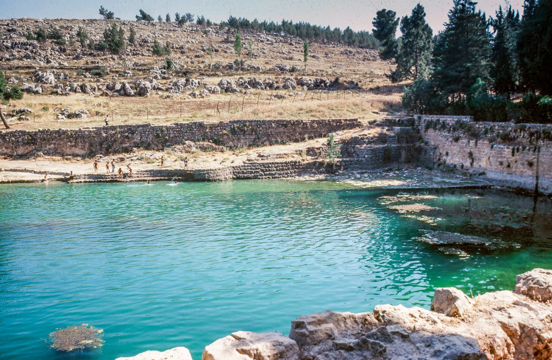 Solomon's Pools 2
