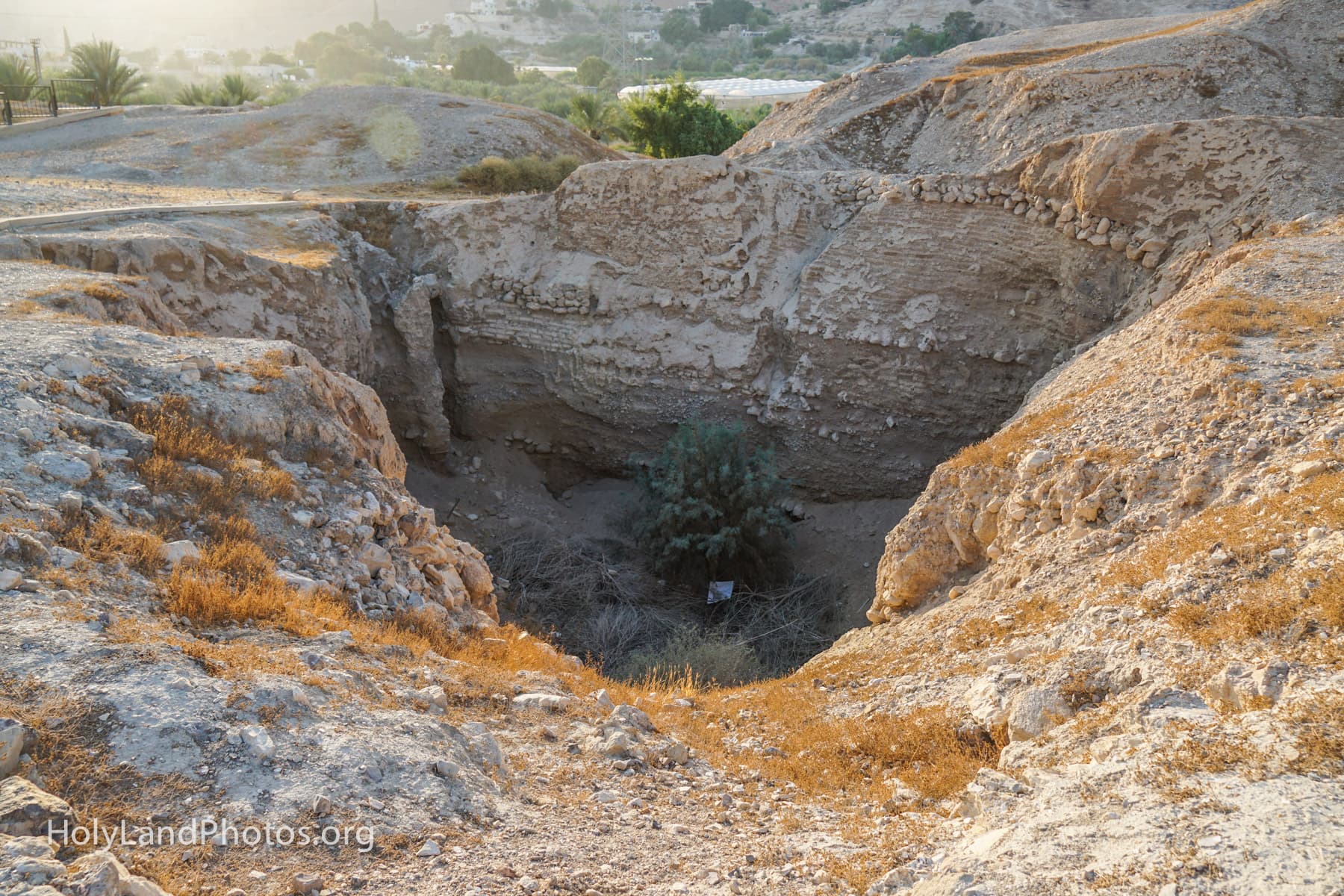 Northern Trench