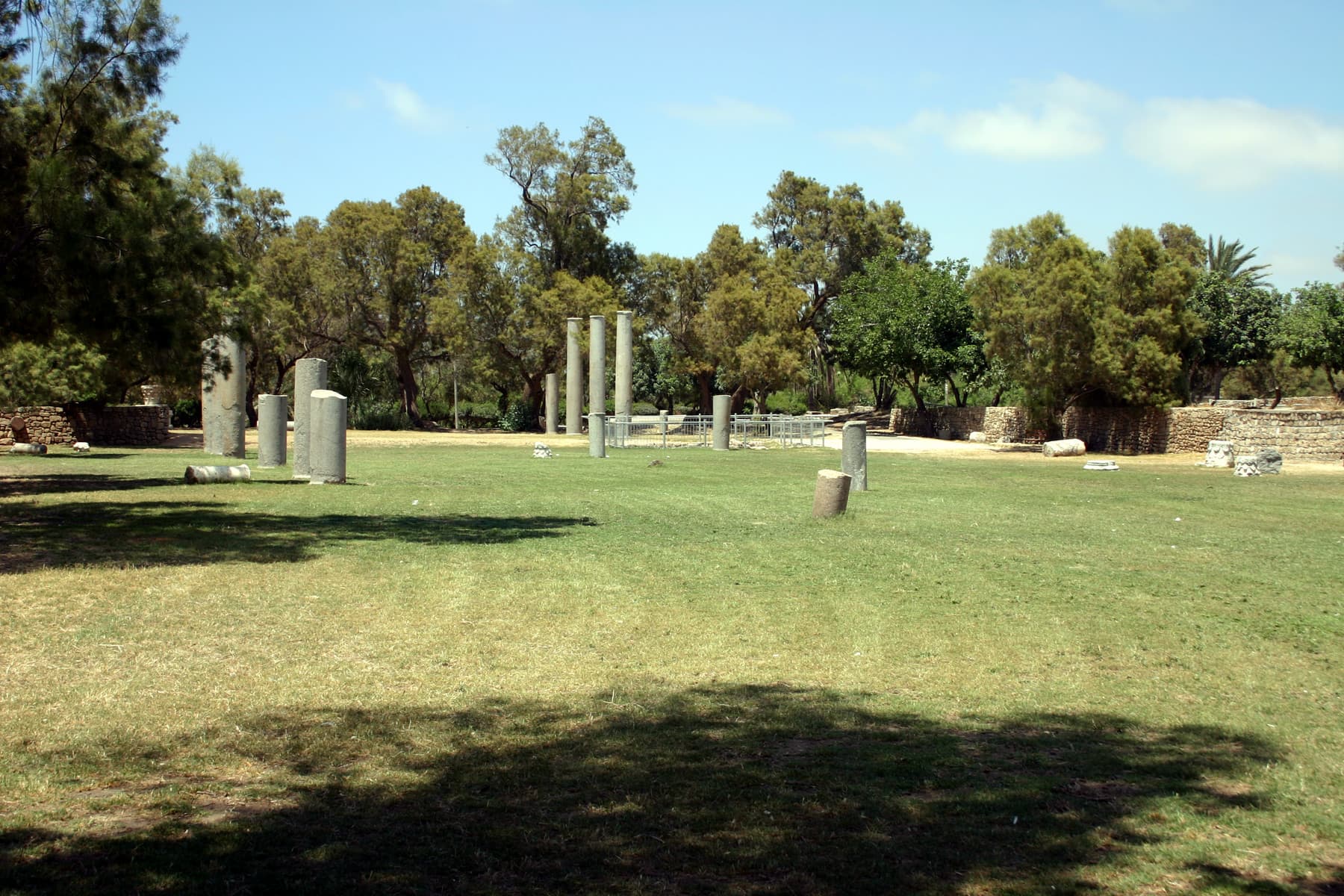 Forum 2
