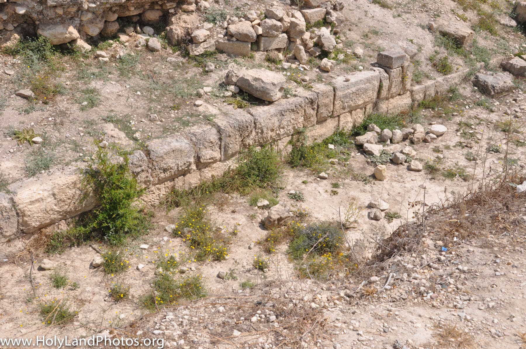 Israelite Wall
