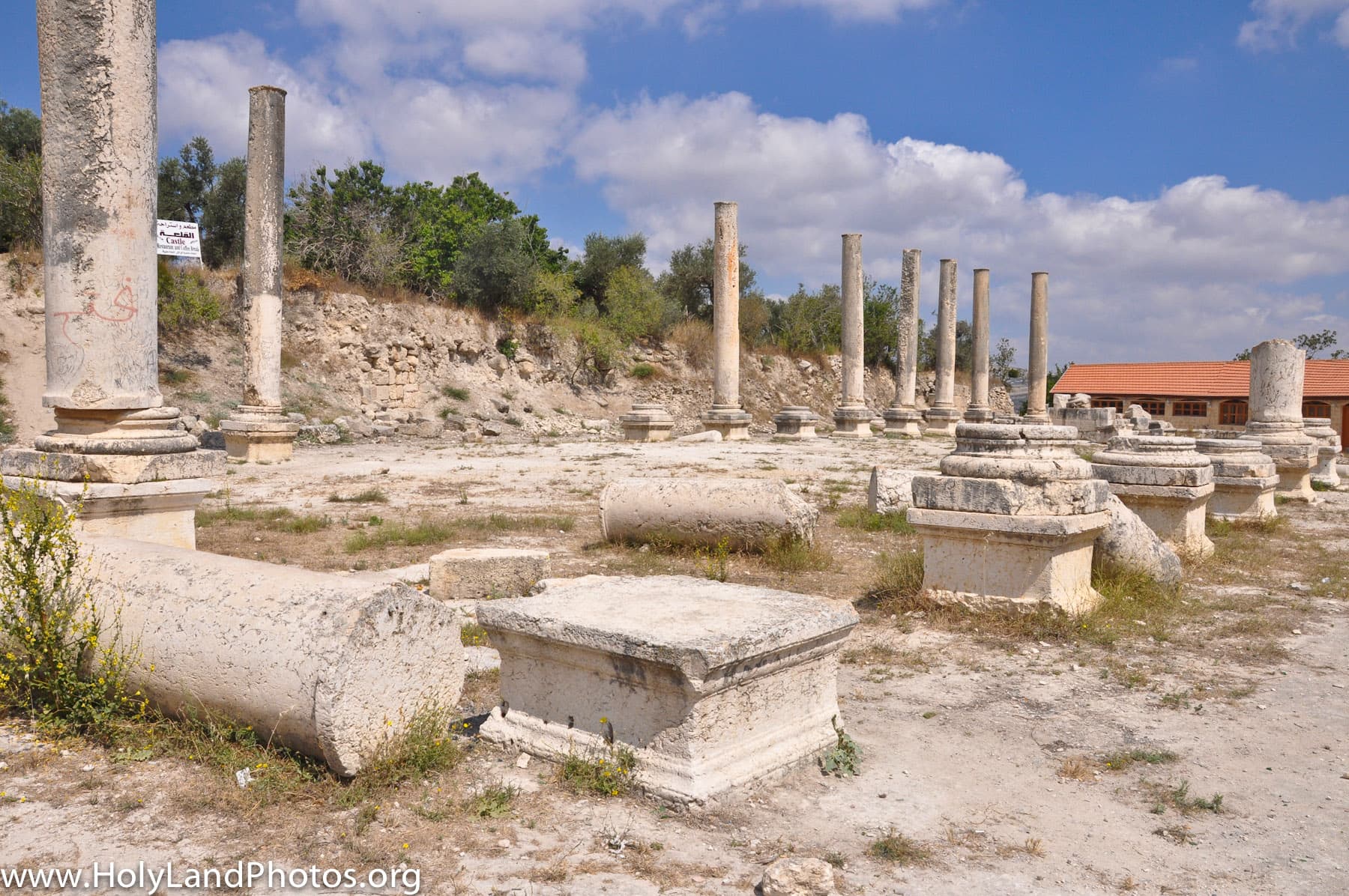 Roman Basilica 2