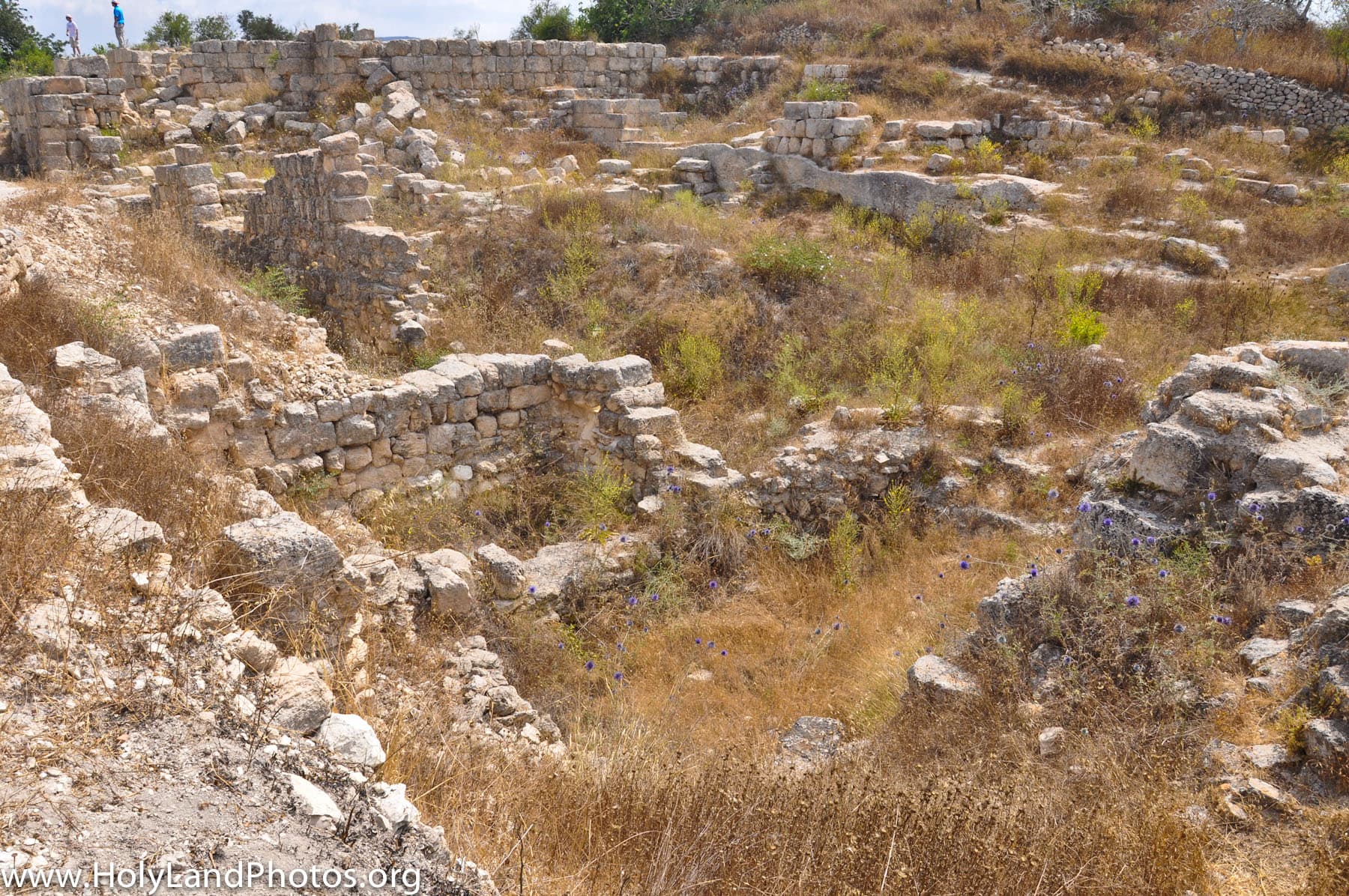 Excavation Area