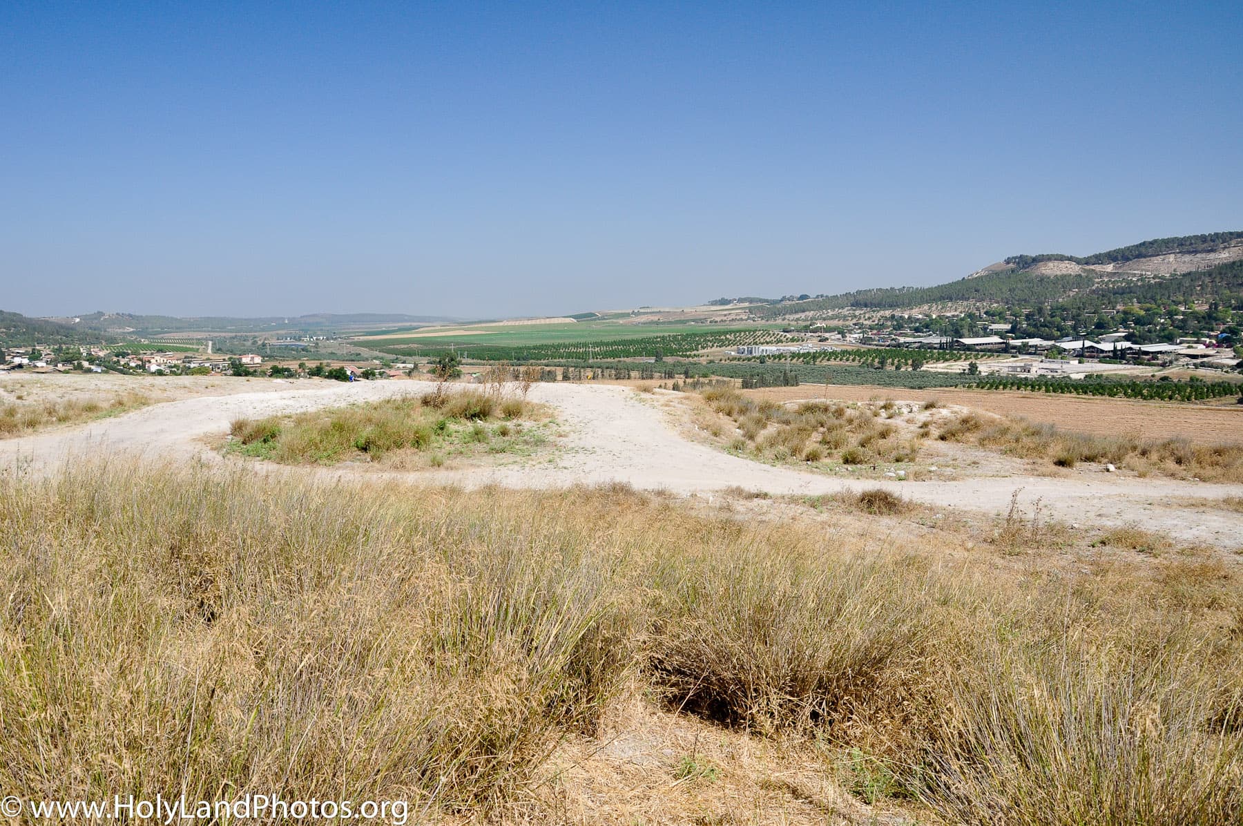 Sorek Valley 1