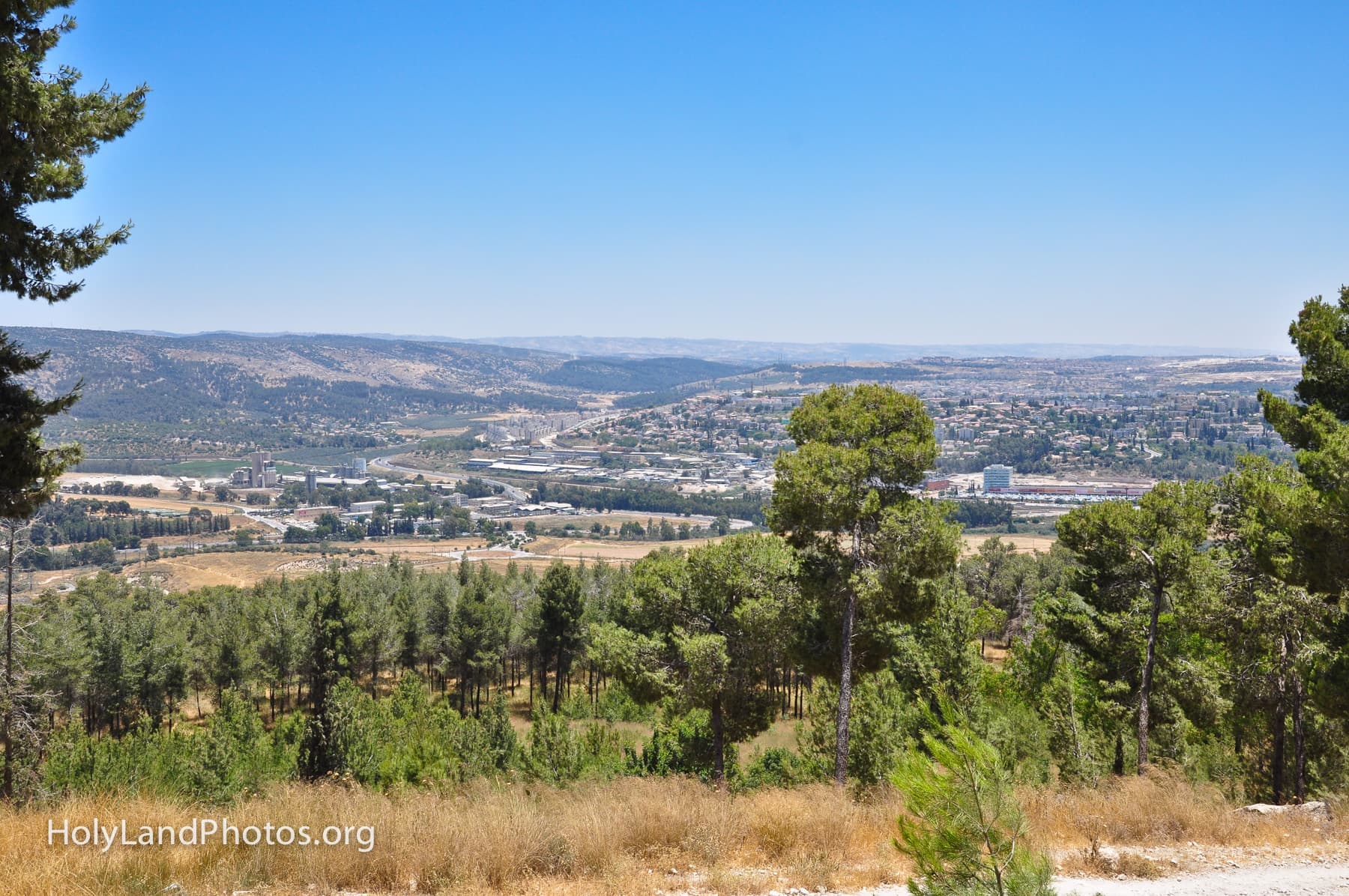 The Shephelah