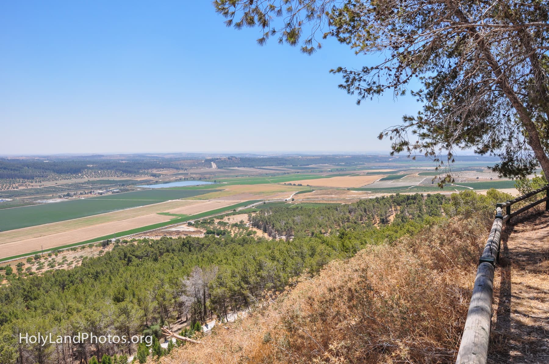 Sorek Valley