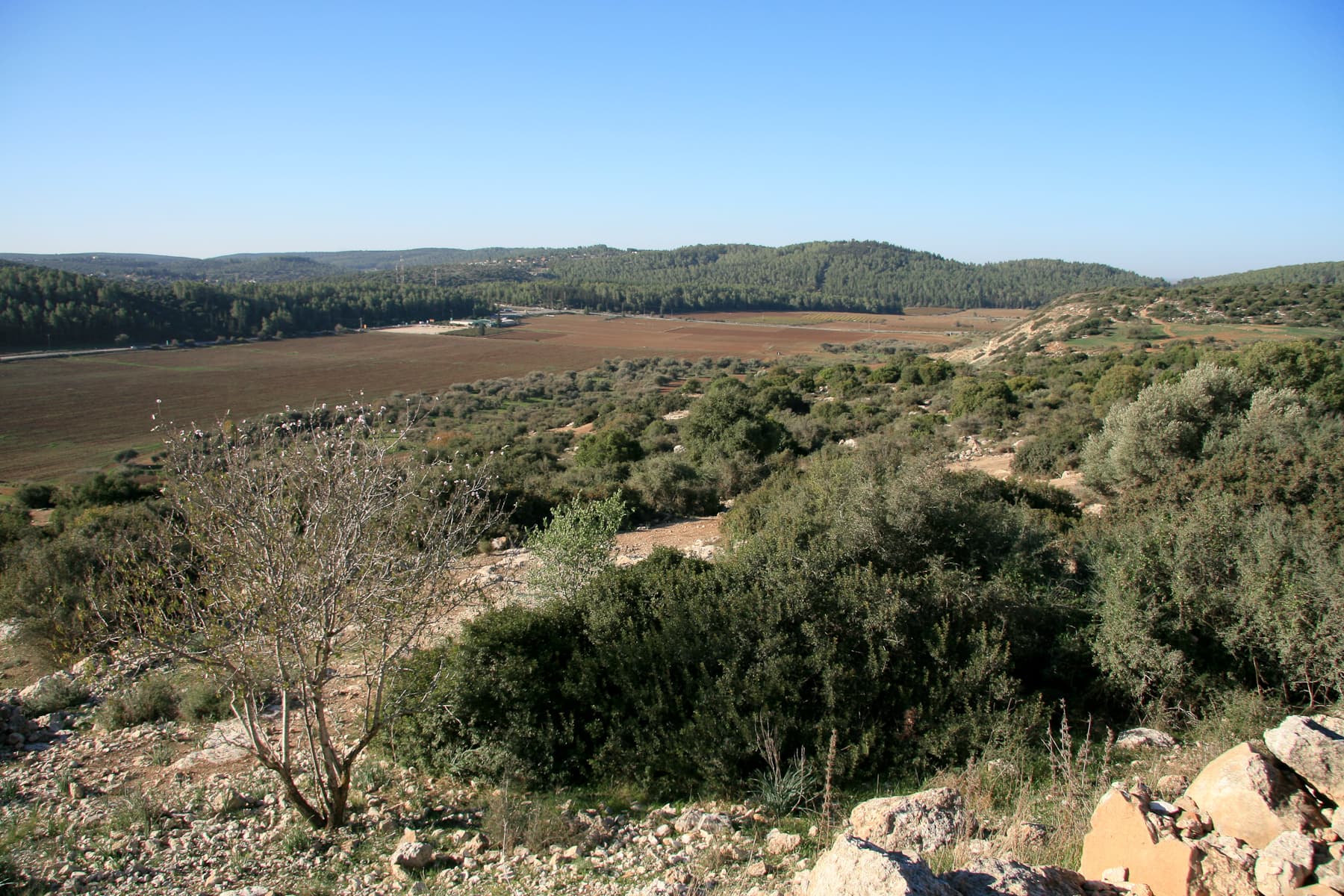 View to Ephes Dammim