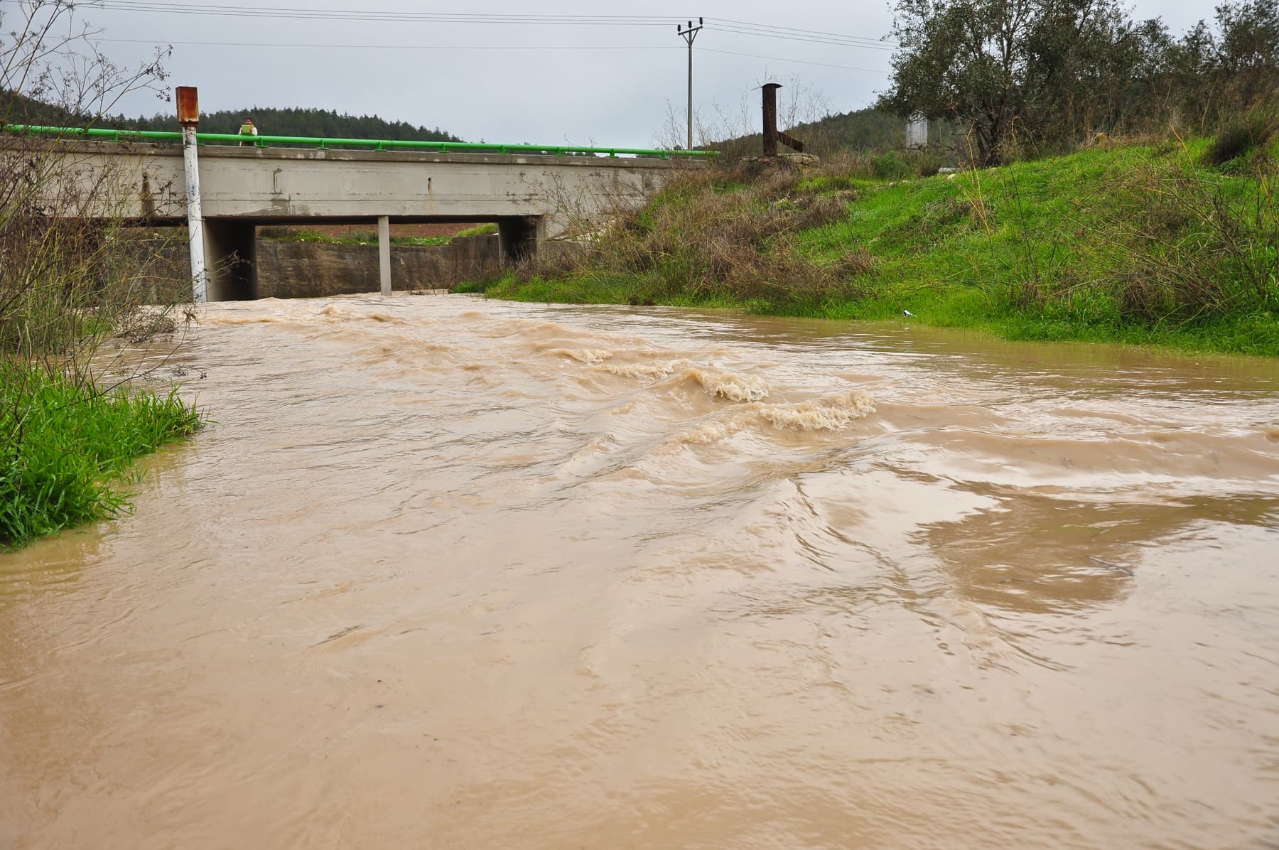 Flood Waters 2
