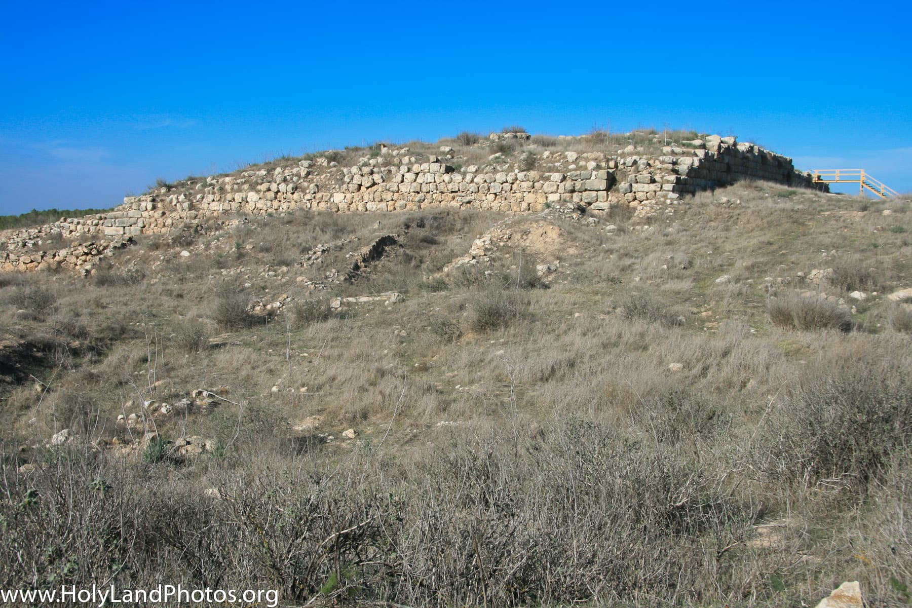 Palace Foundation 1