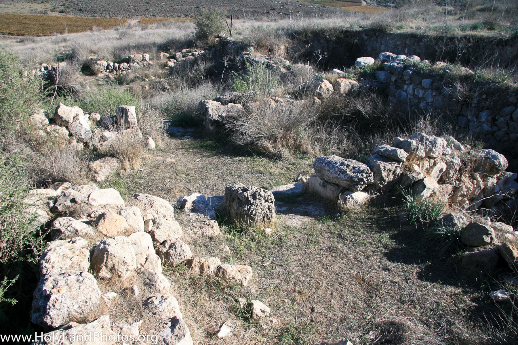 Solar Shrine—View East