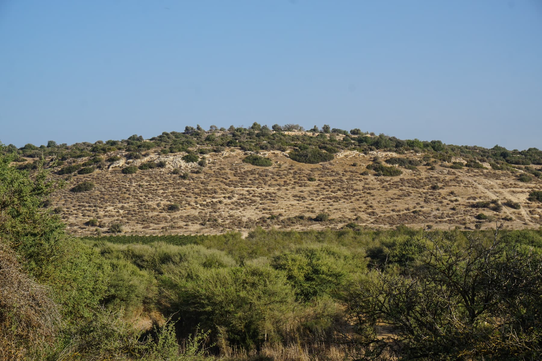 View from South