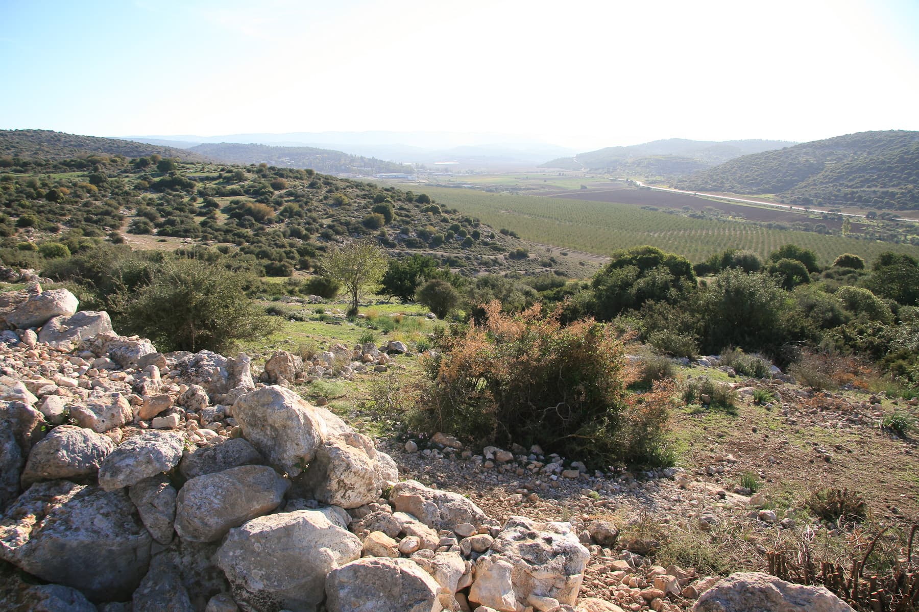 View to V. of Elah