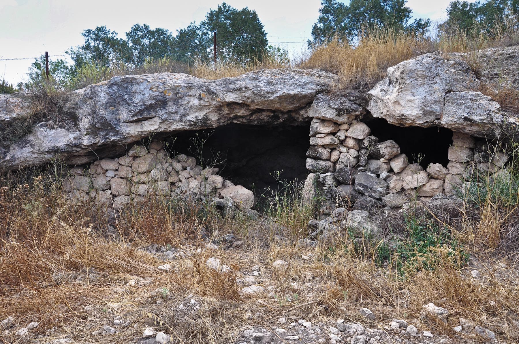 Sheepfold Shephelah