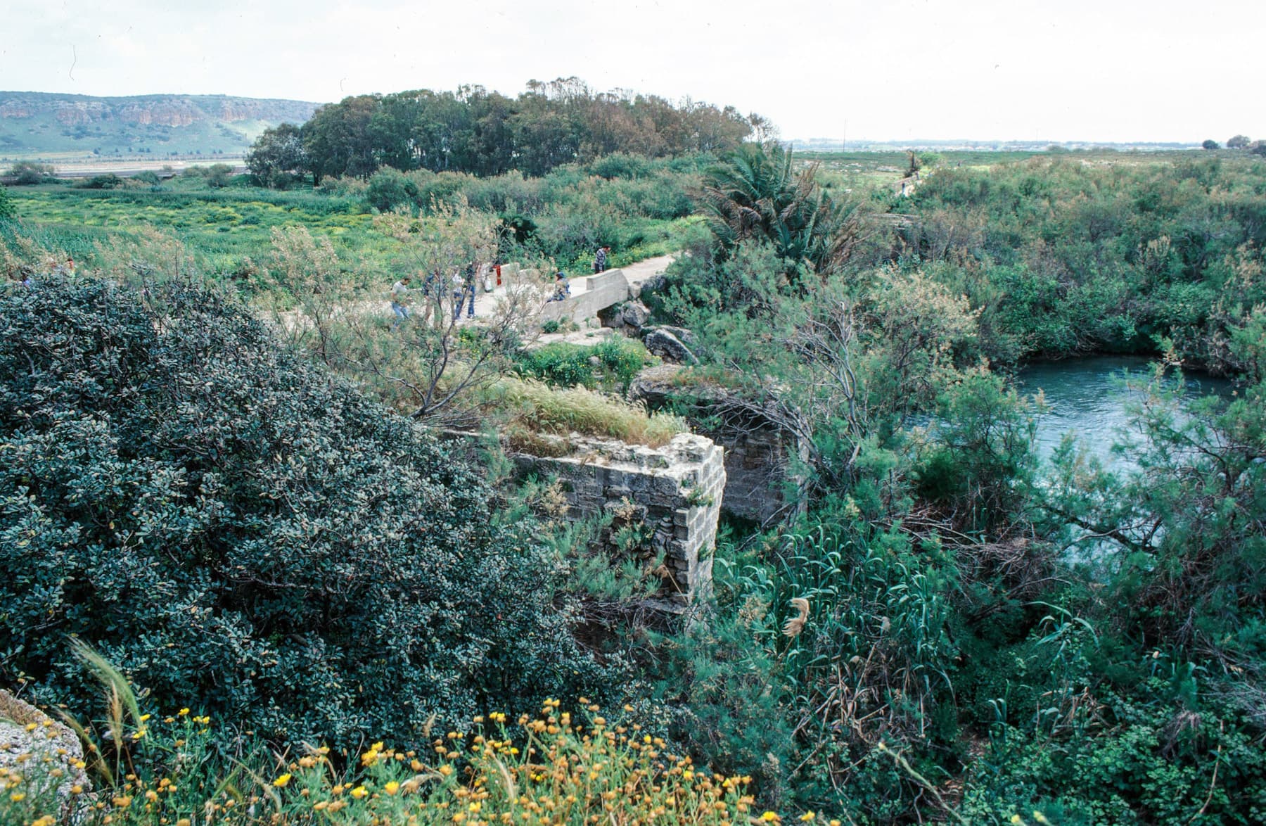 Dam Nahal Tanninim