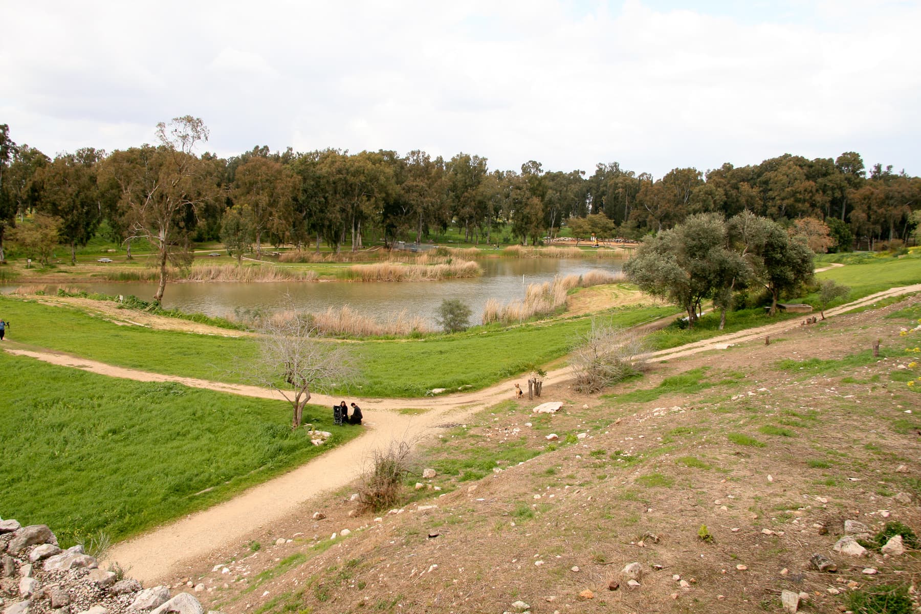 Spring at Aphek