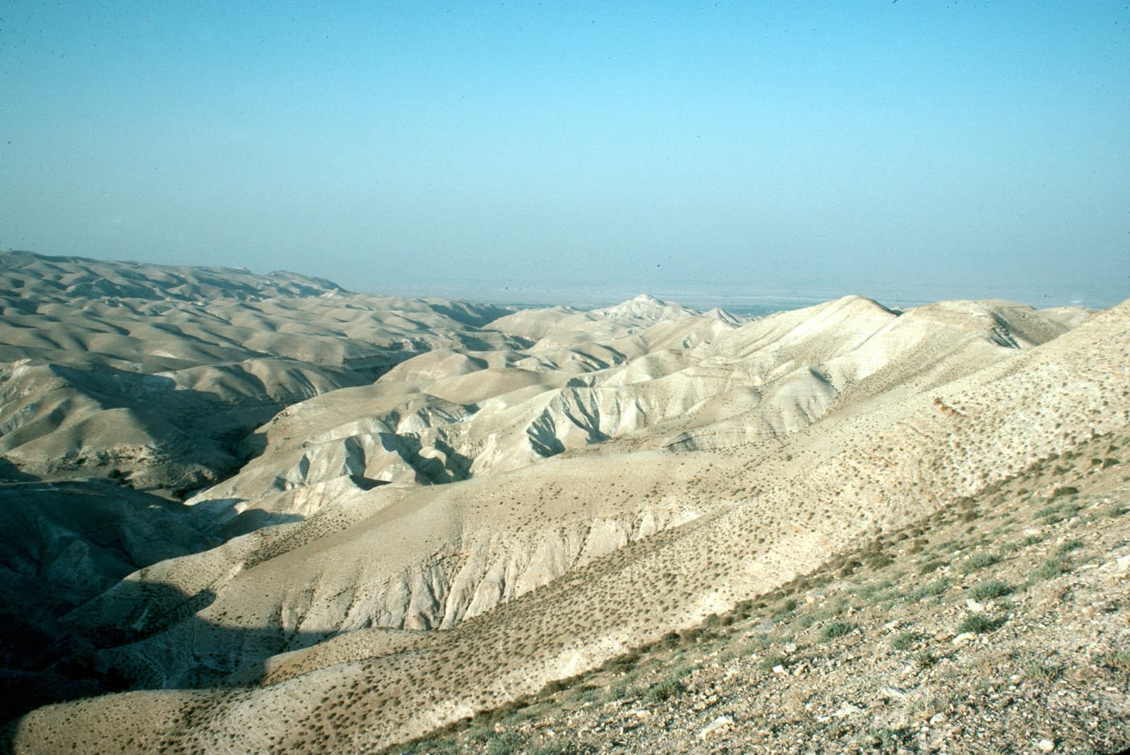 Wilderness of Judah 2