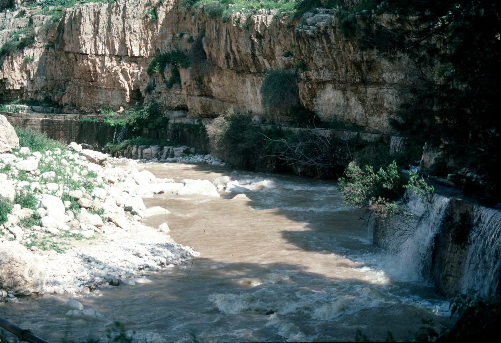 Wadi Qilt (2)
