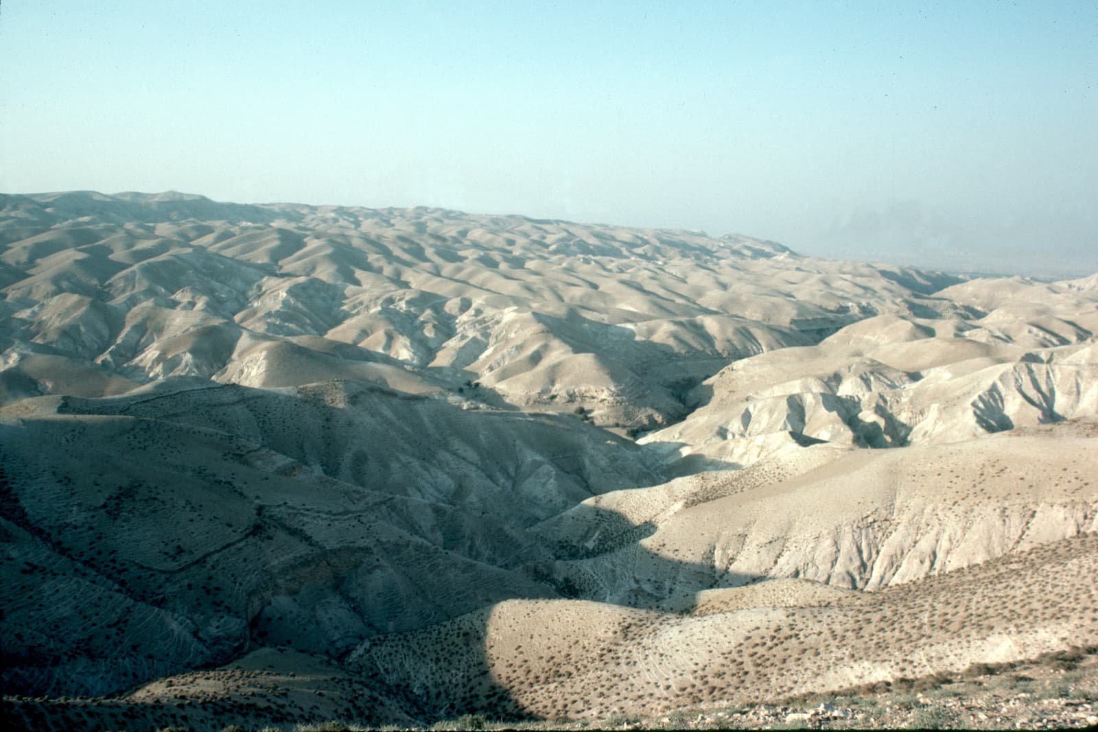 Wilderness of Judah 1
