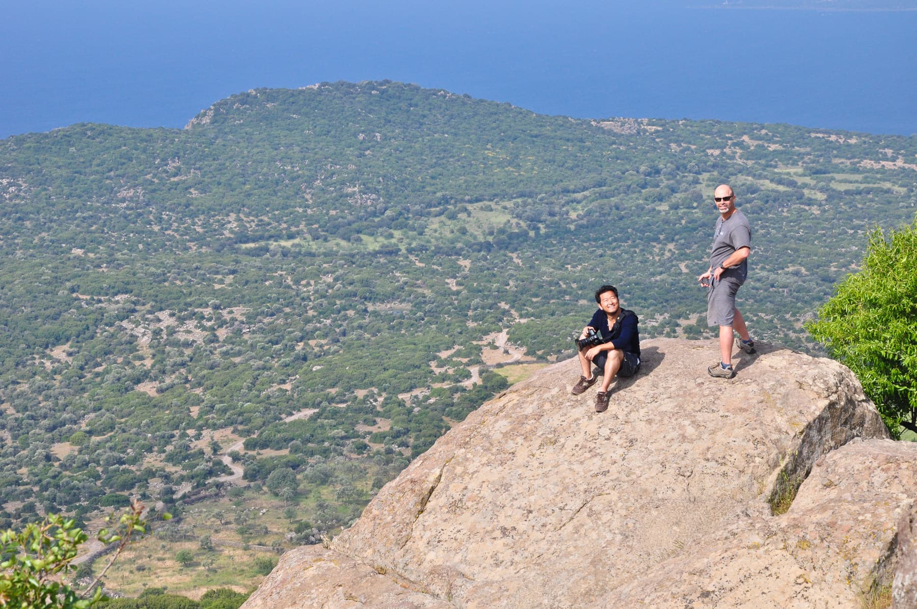 Assos: Overview
