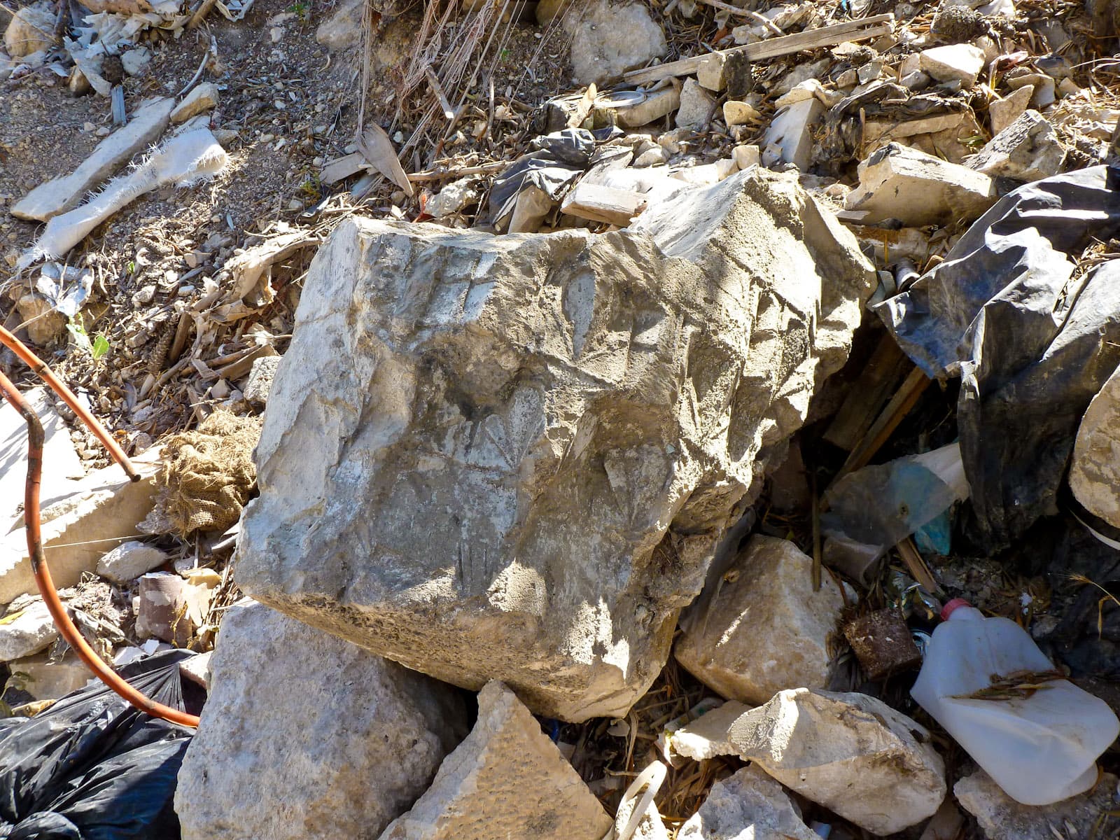 Architectural Fragment