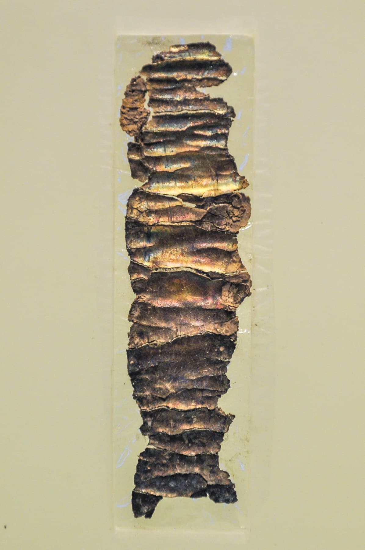 Large Amulet