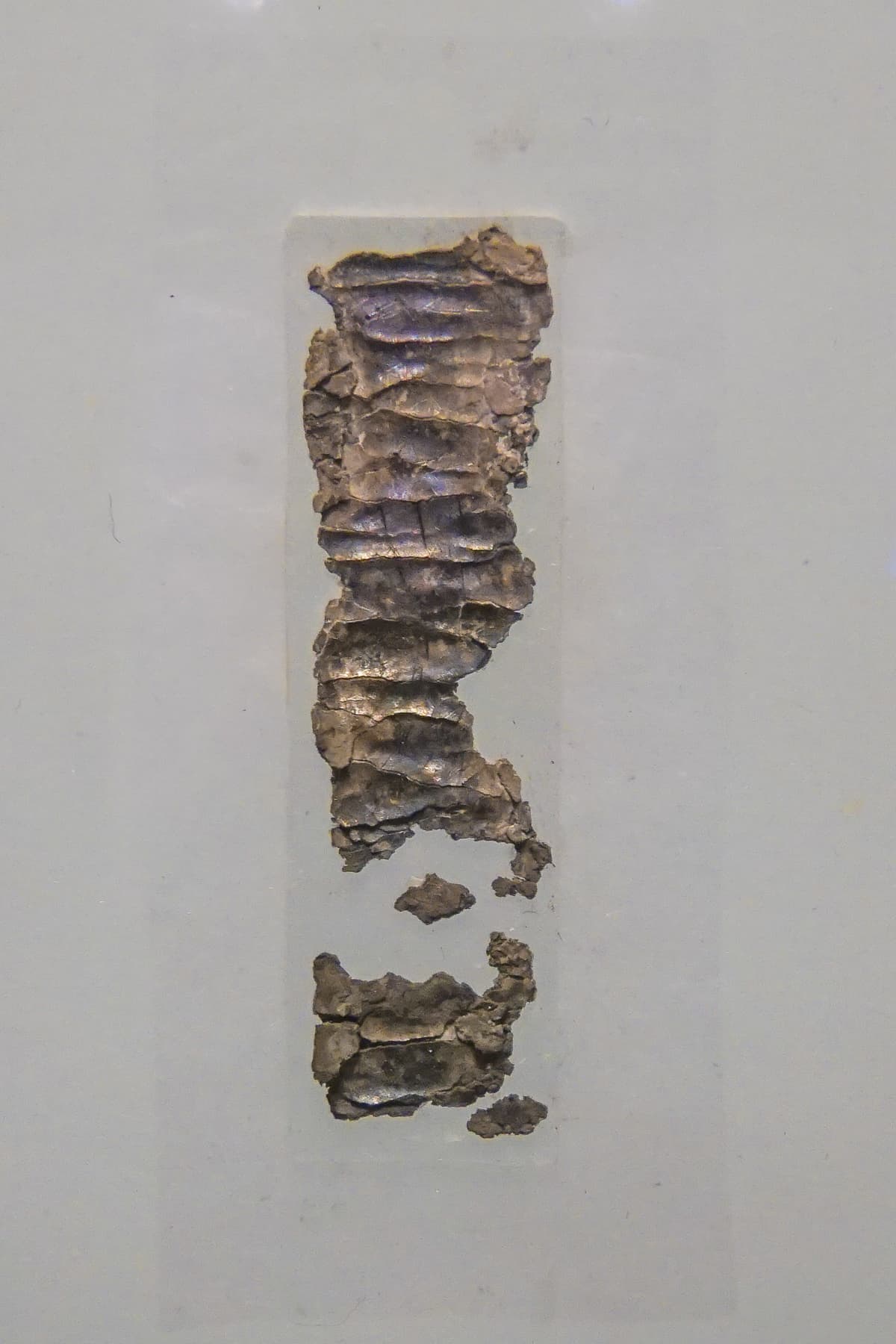 Small Amulet Detail