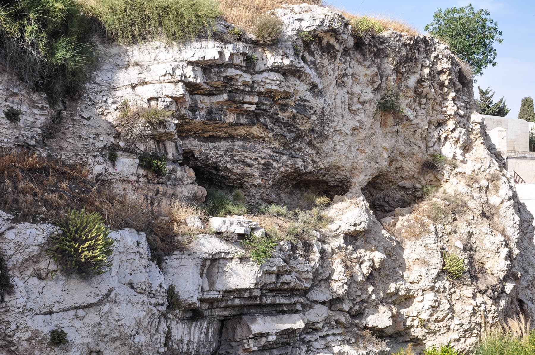 Face of Skull