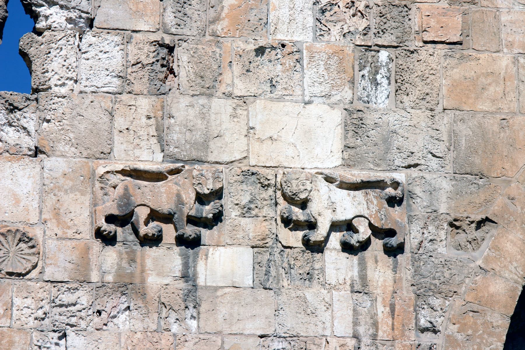 Lion’s Gate (Lions)