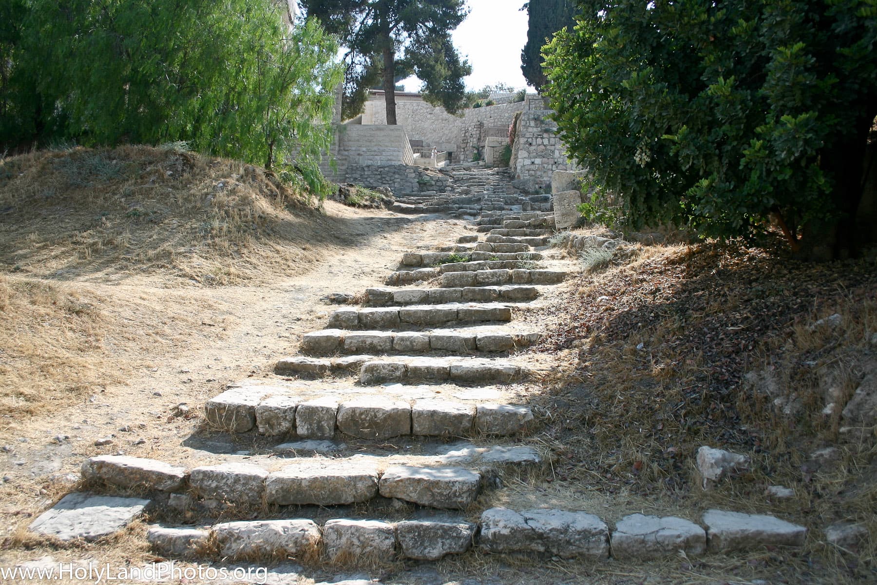 Steps