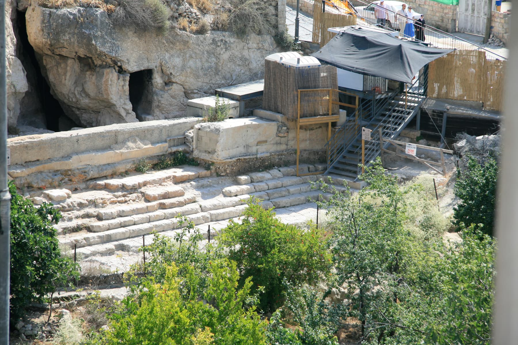 Overview