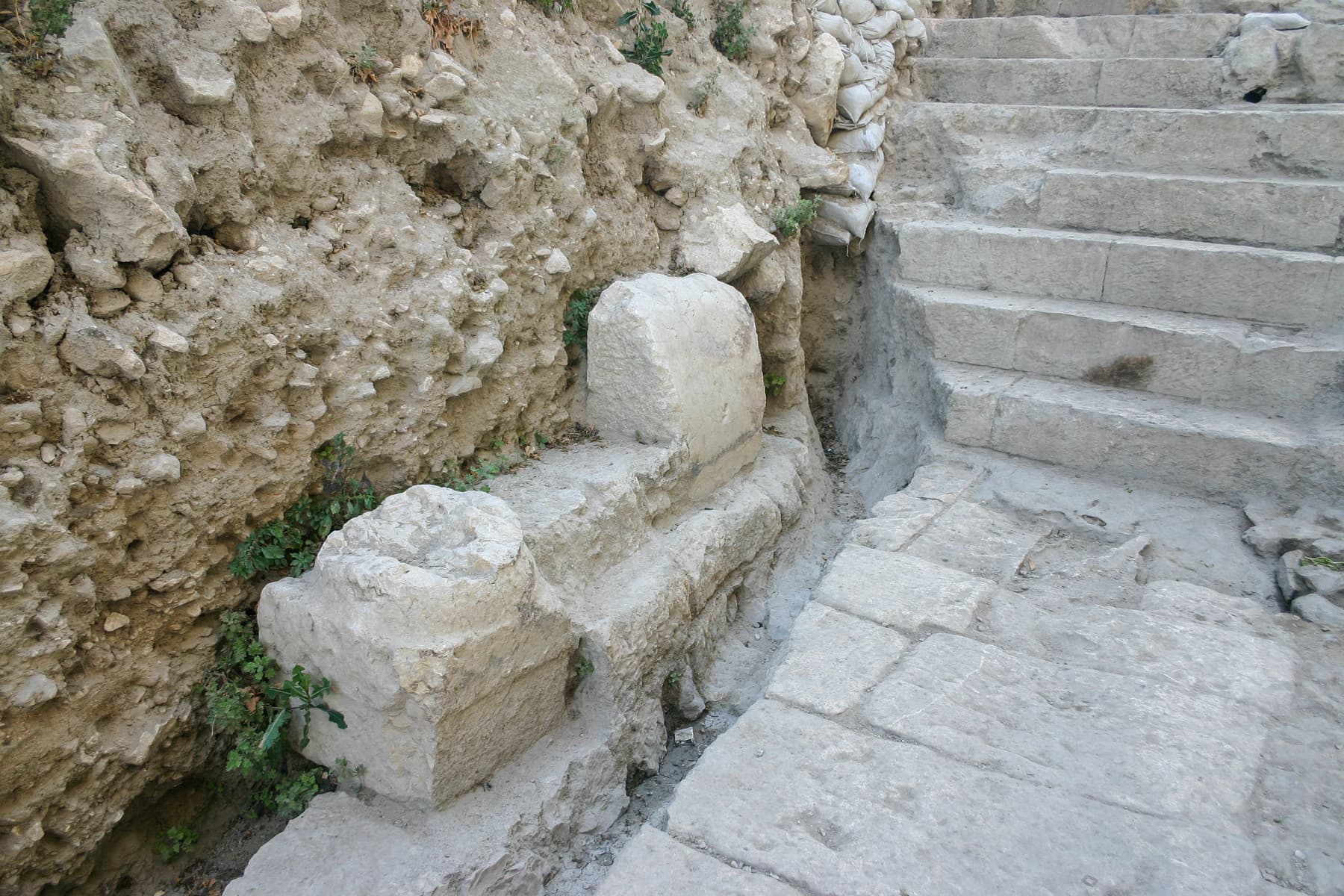 Steps & Plaza