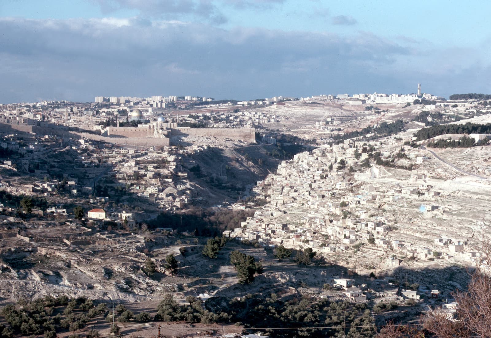 City of David