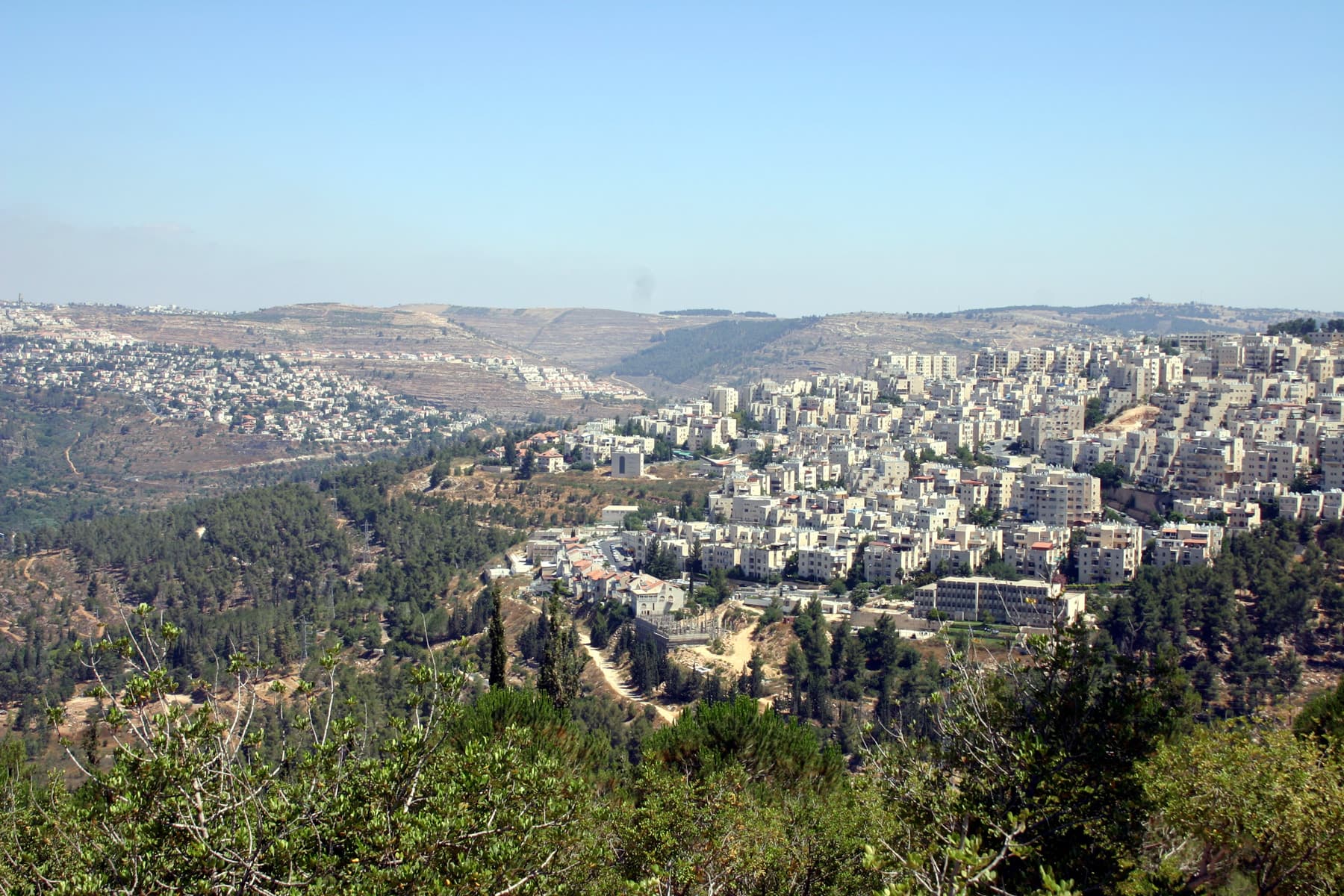 View North