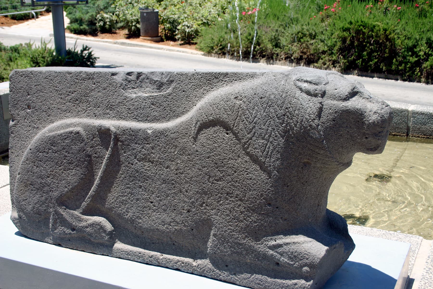 Basalt Lion