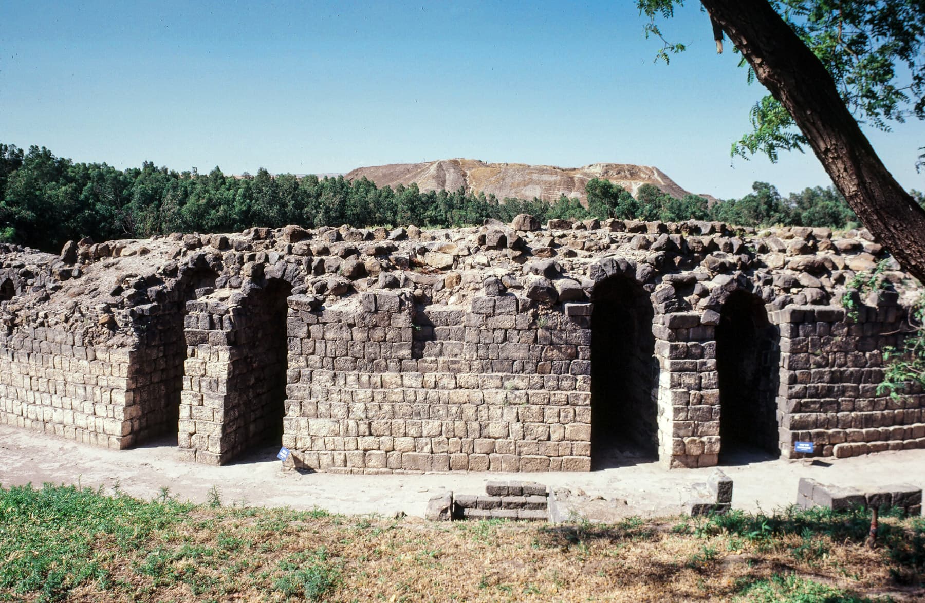 Theater Rear 2