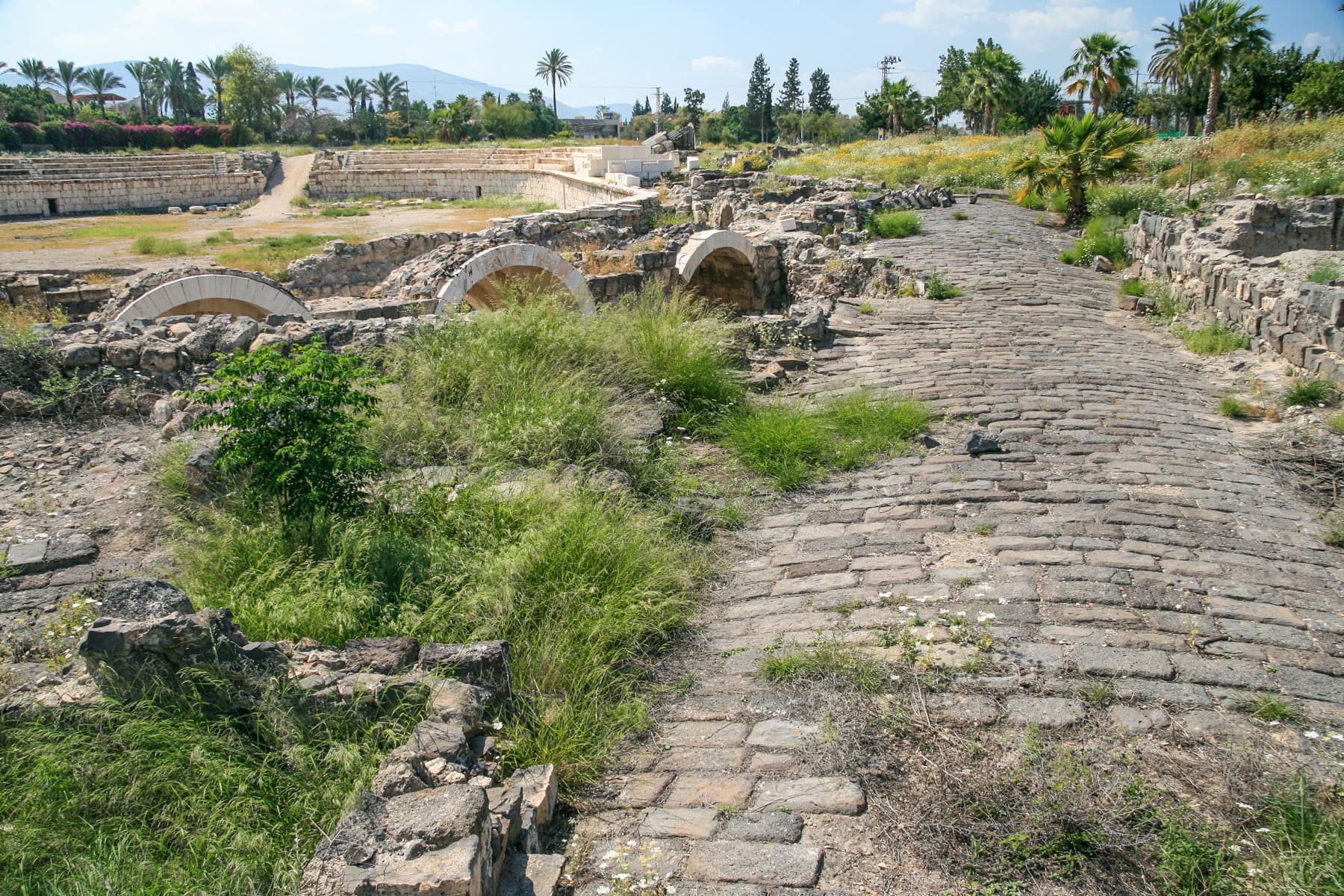 Amphitheater Street