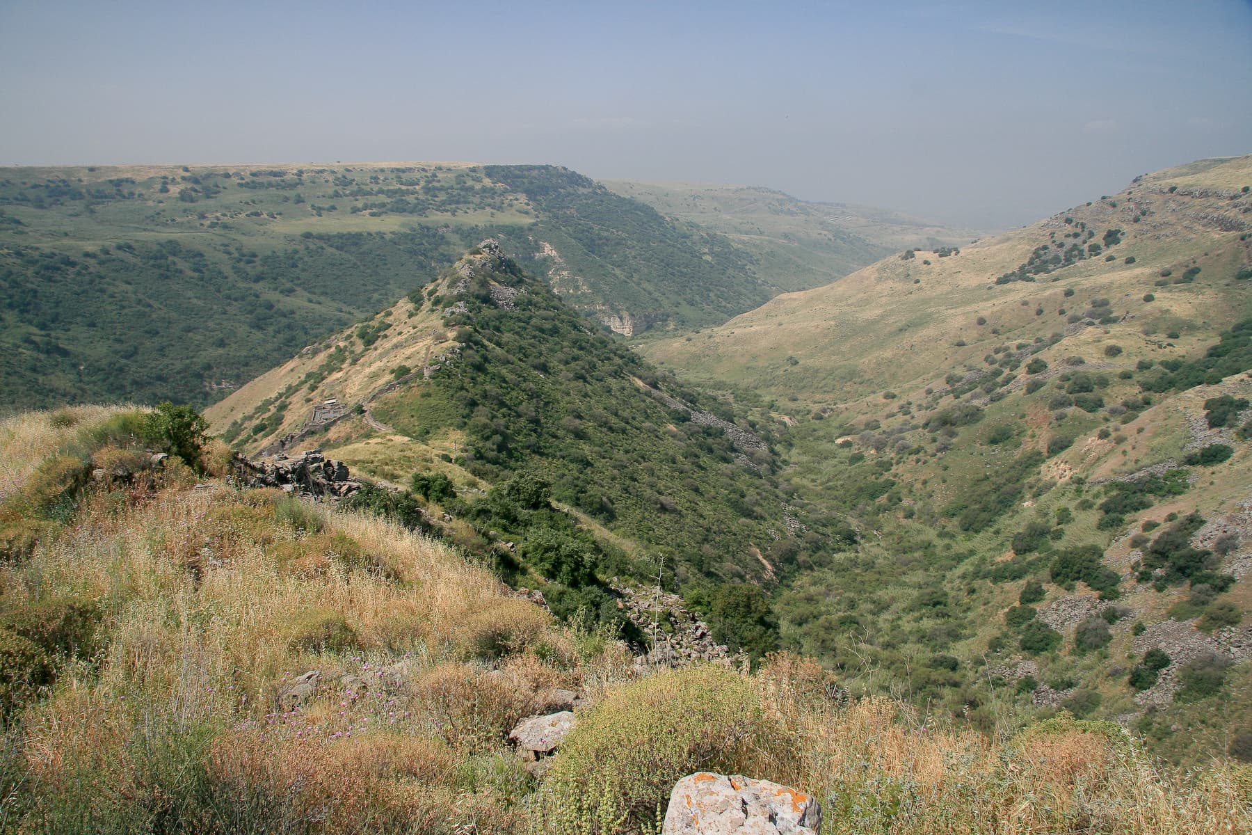 Overview 1
