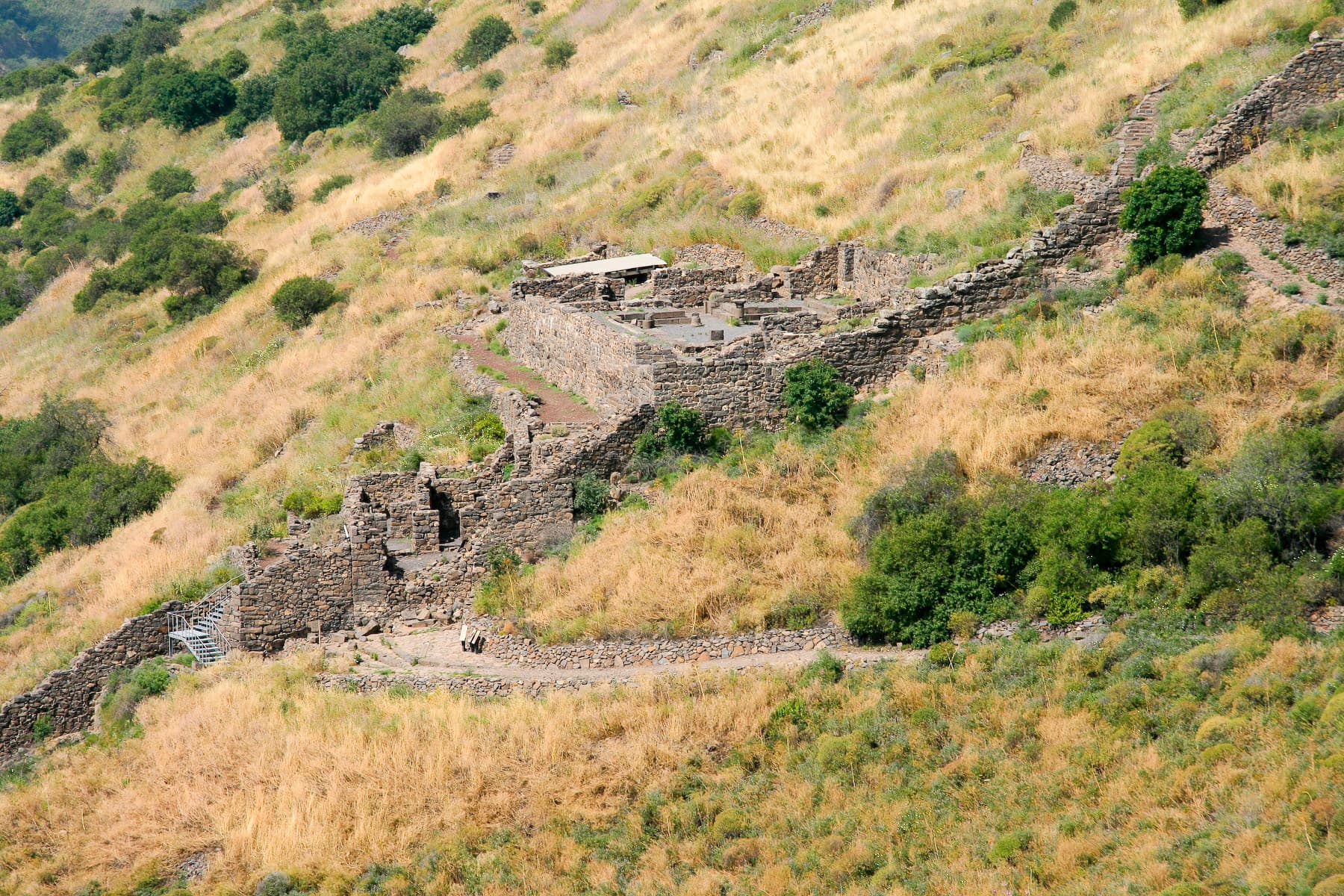 Synagogue and Breach