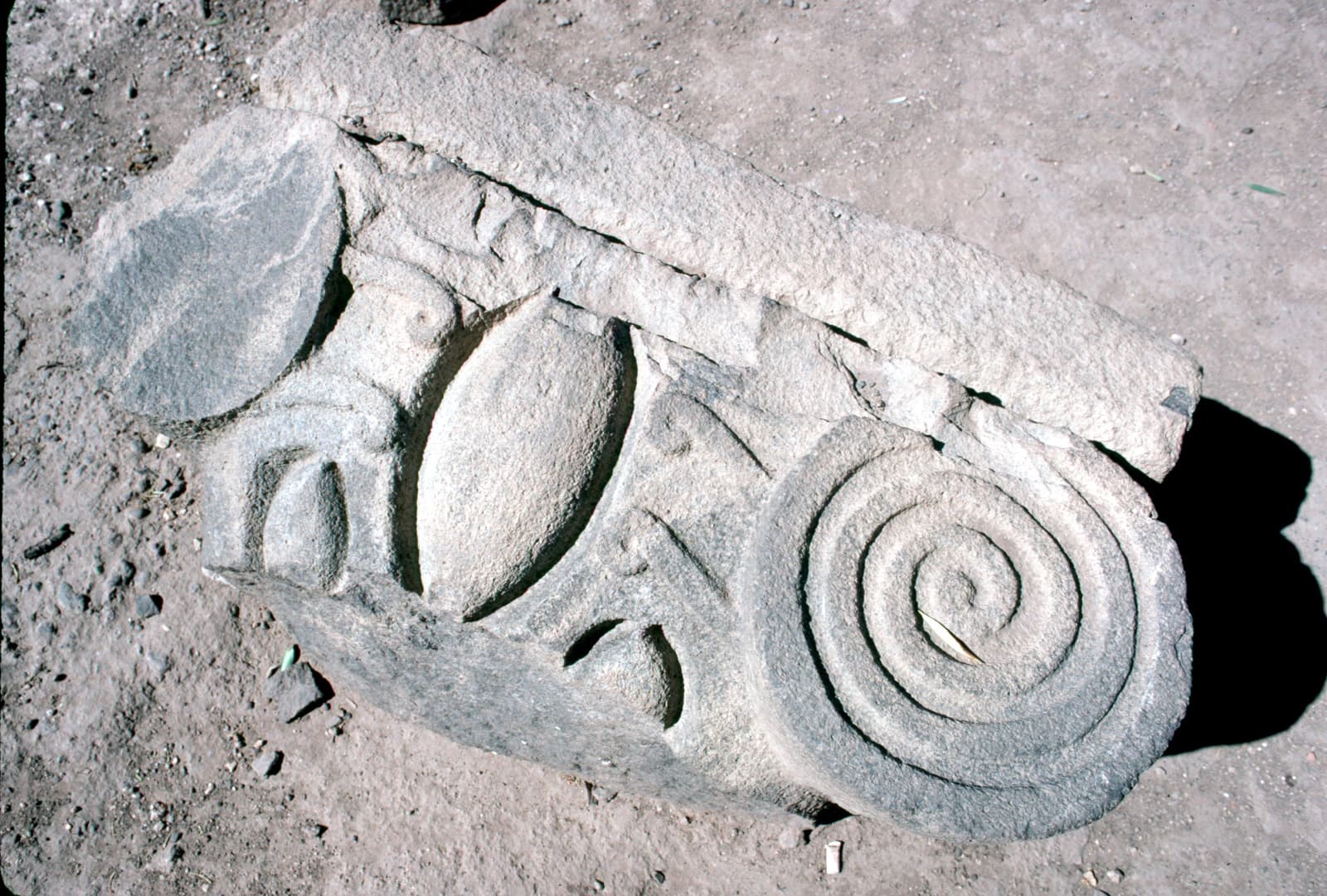 Synagogue Capital