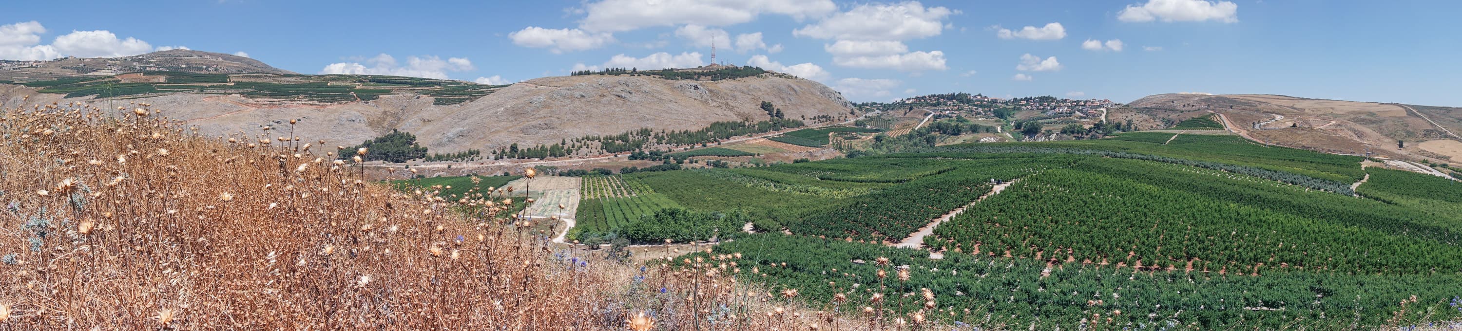 Panorama to Metula and Lebanon