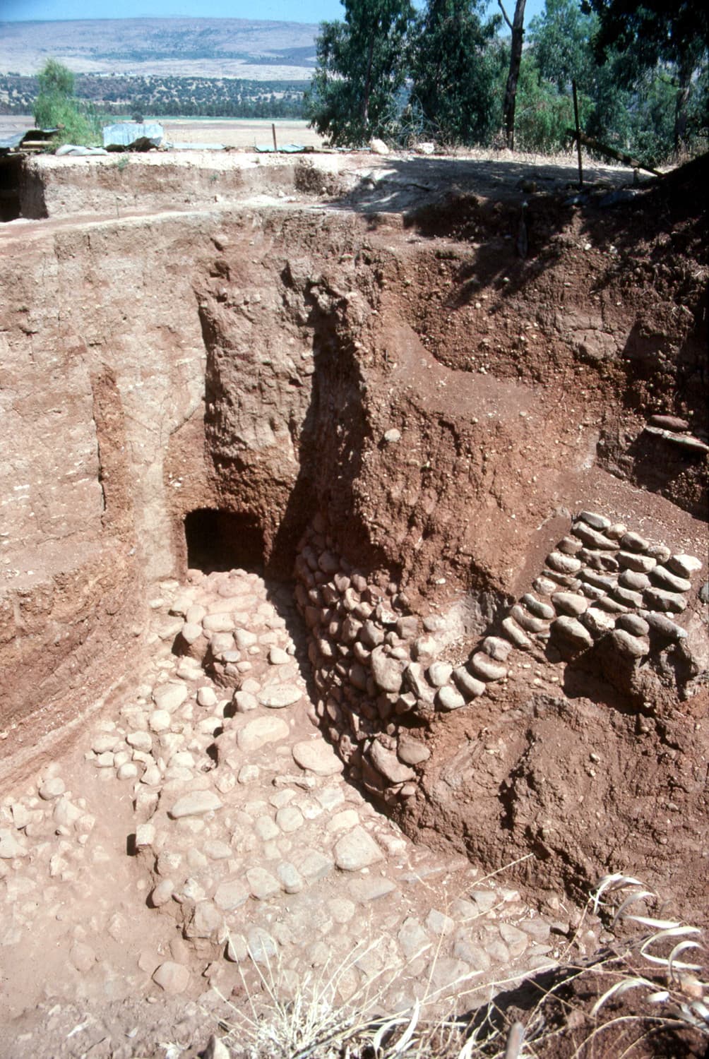 Middle Bronze City Gate (Western Face)