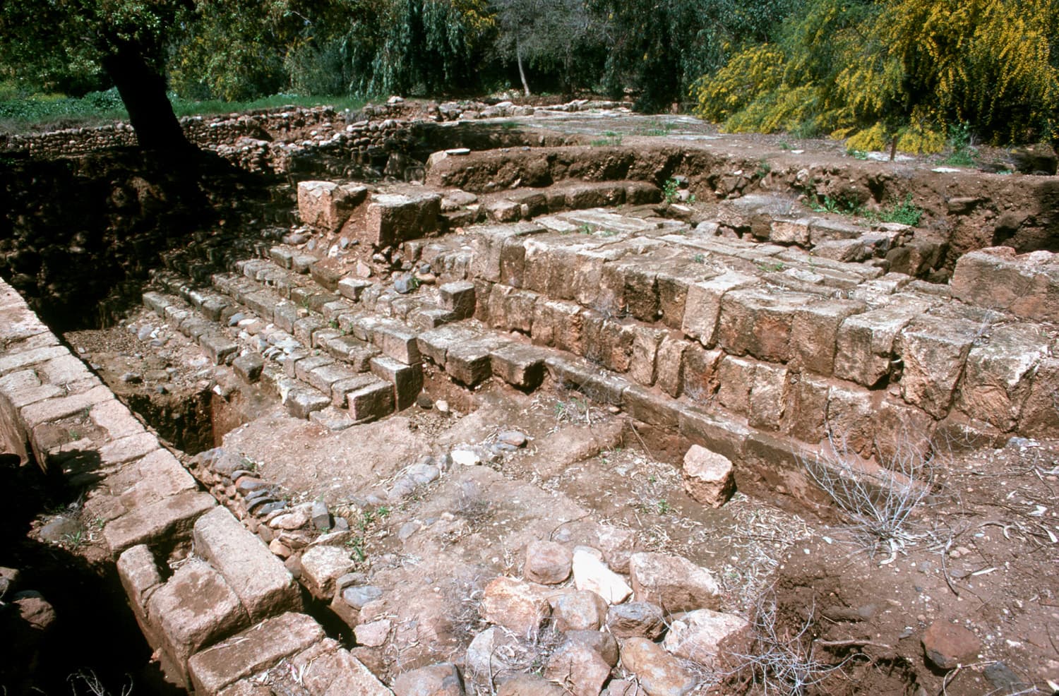 Israelite Cult Site Podium