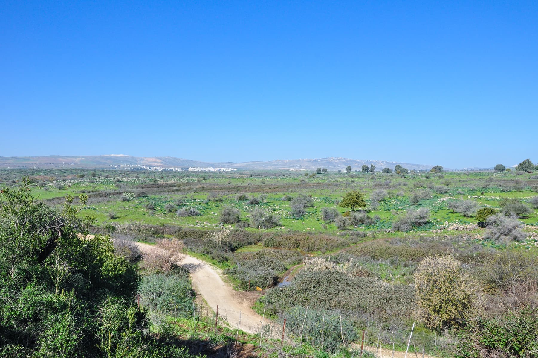 View to Lebanon
