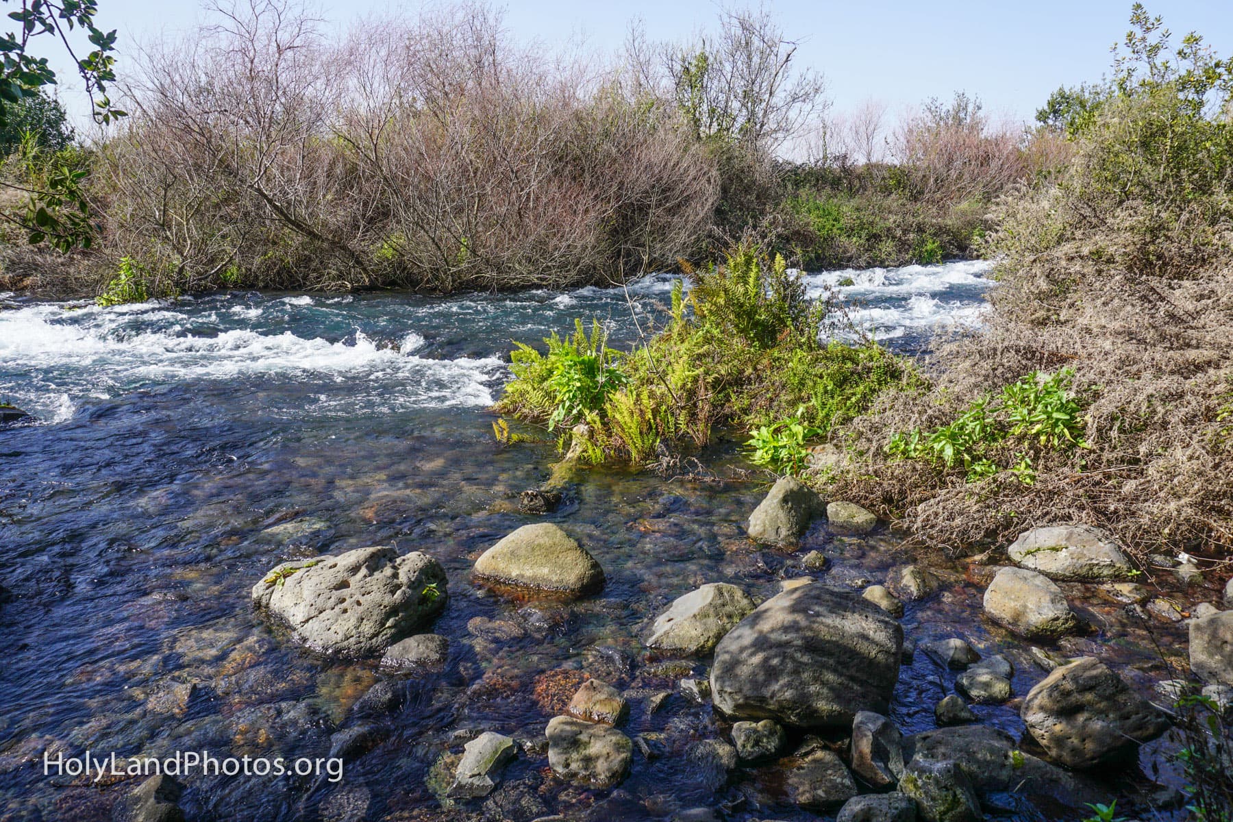 The Dan River
