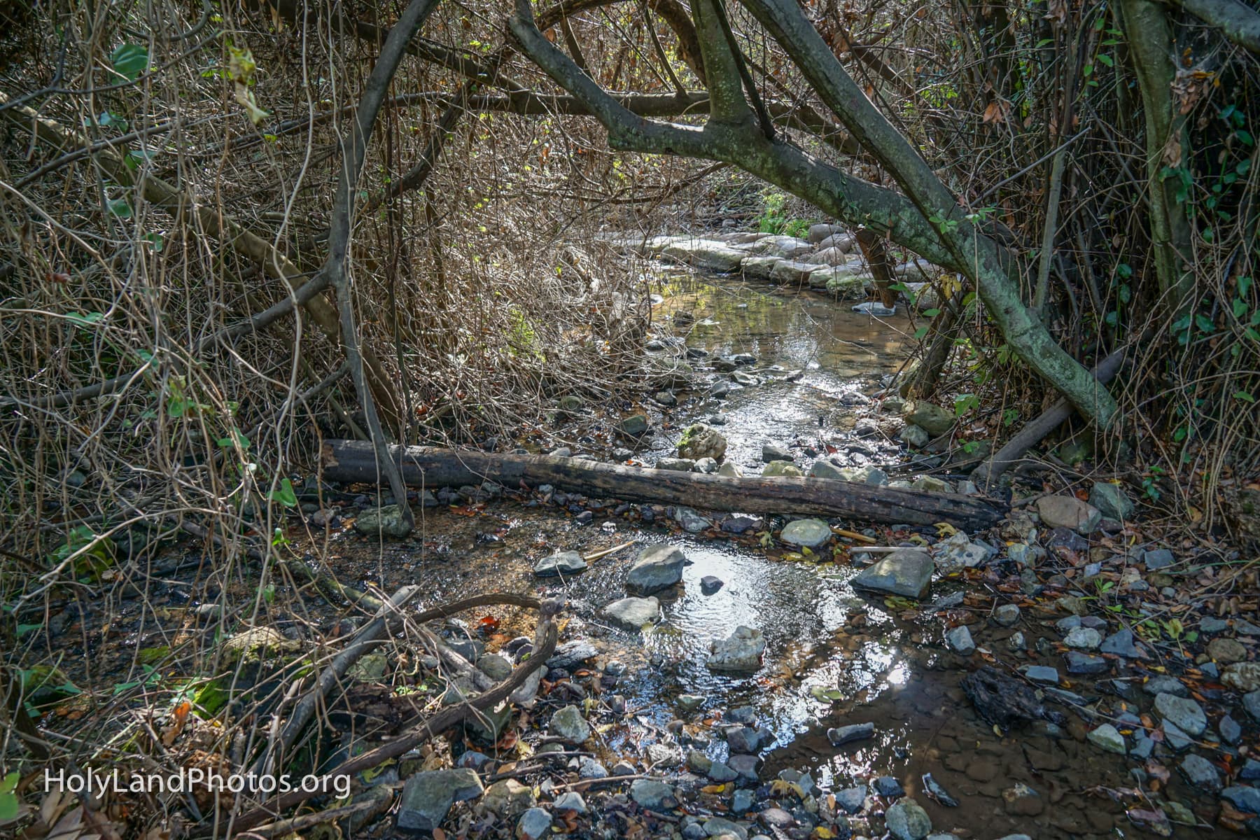A Small Spring