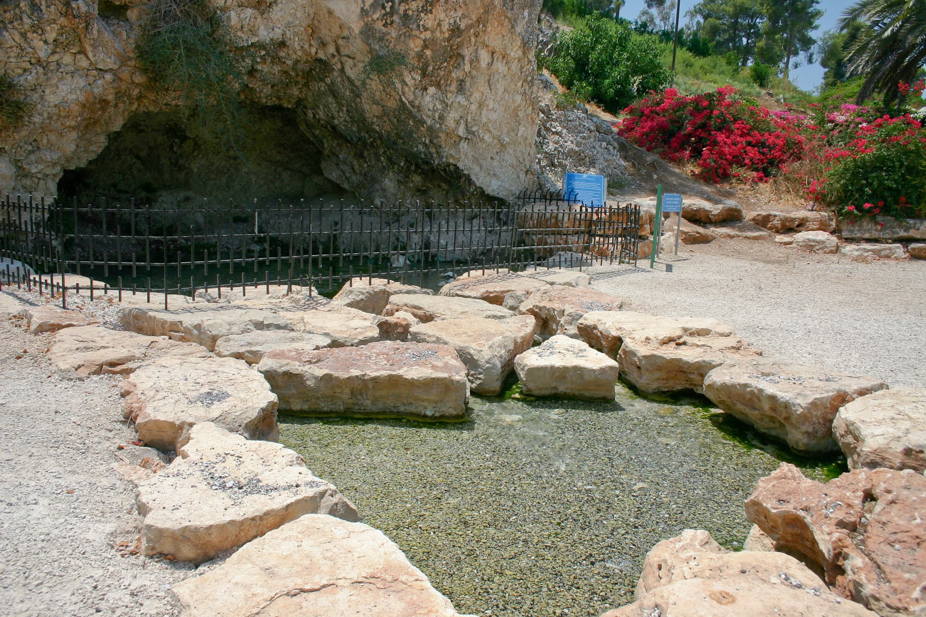 Harod Spring