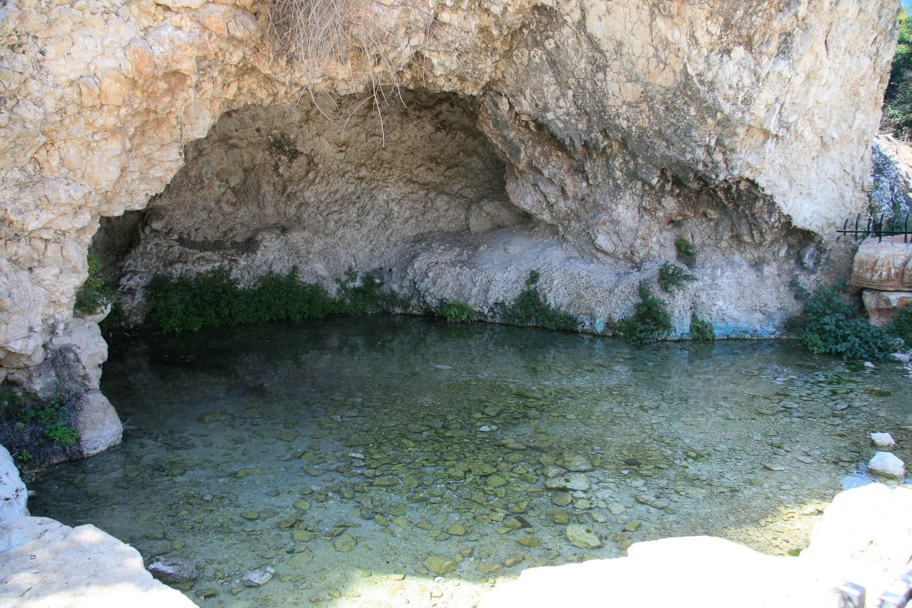 Harod Spring Detail