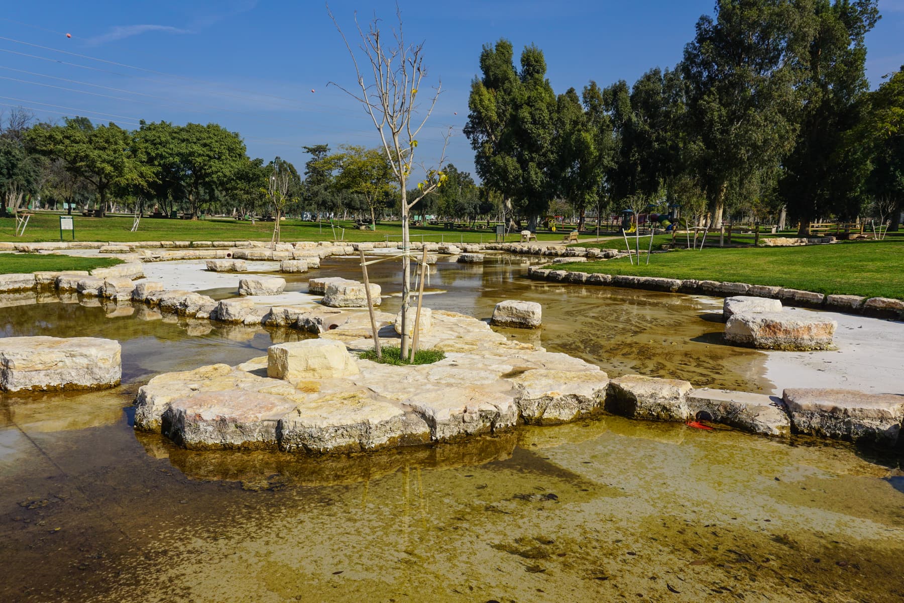 Modern Pools