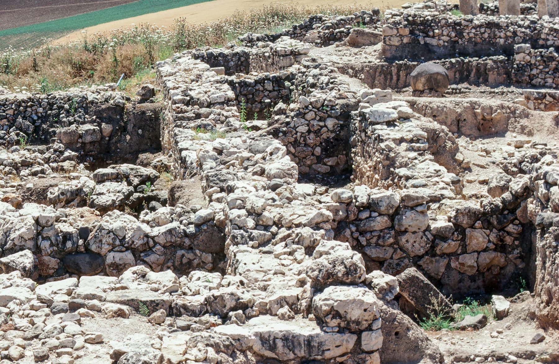 Hazor Casemate Wall