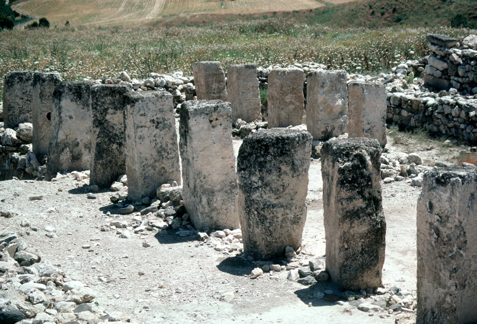 Pillared Building 2