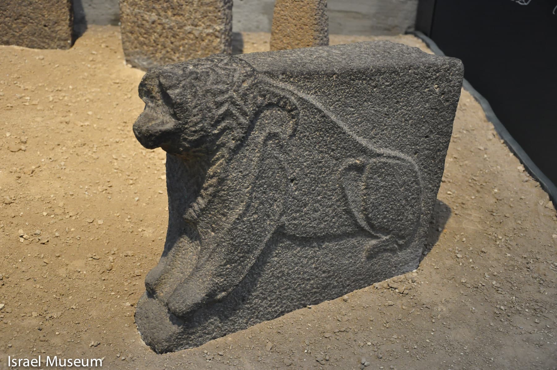 Canaanite Crouching Lion